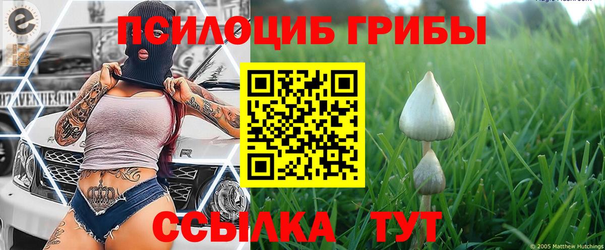 Псилоцибиновые грибы мухоморы Ревда
