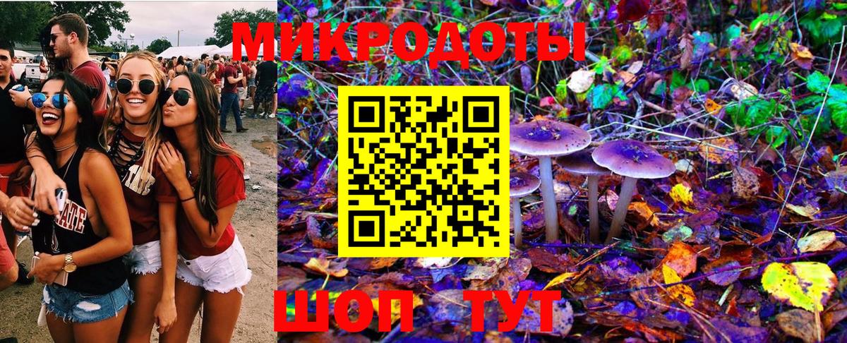 Ревда  Псилоцибиновые грибы мицелий  Вход с VPN  Галлюциногенные грибы MAGIC MUSHROOMS 